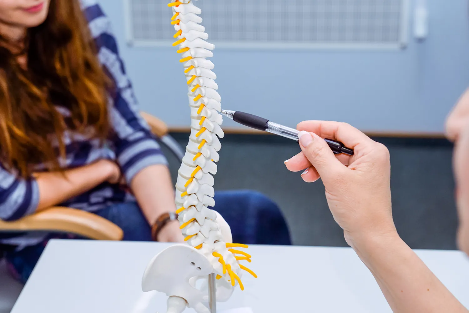 Doctor explaining a spine model during a consultation