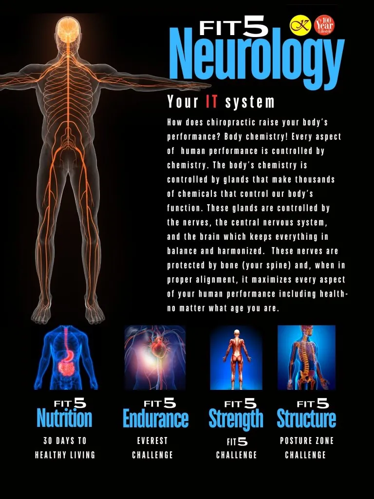 Fit5 Program poster: neurology, nutrition, endurance, strength and structure